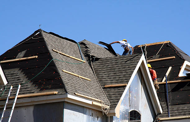Best Storm Damage Roof Repair  in Sulligent, AL