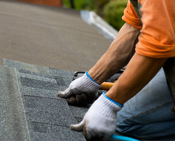 Best Gutter Installation and Roofing  in Sulligent, AL